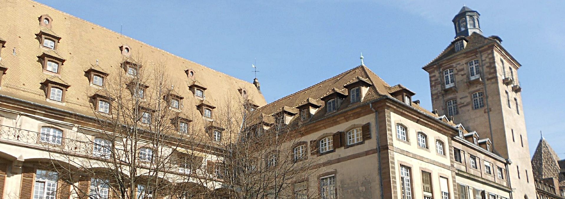 Cave des Hospices de Strasbourg