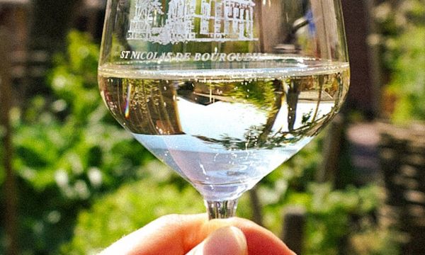 Initiation Terroir & Parcellaire-photo