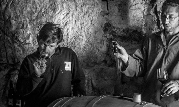 Visite des vignes et de la cave troglodyte-photo