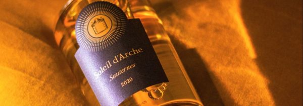 Degustazione con commento-photo