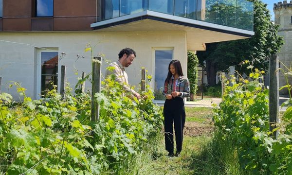 Visite et dégustation de 2 vins-photo