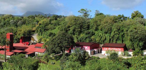 Distillerie de Fonds Préville - Rhum J.M photo