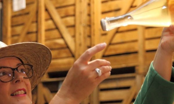 Visita a la bodega y degustación de 2 cosechas a elegir-photo