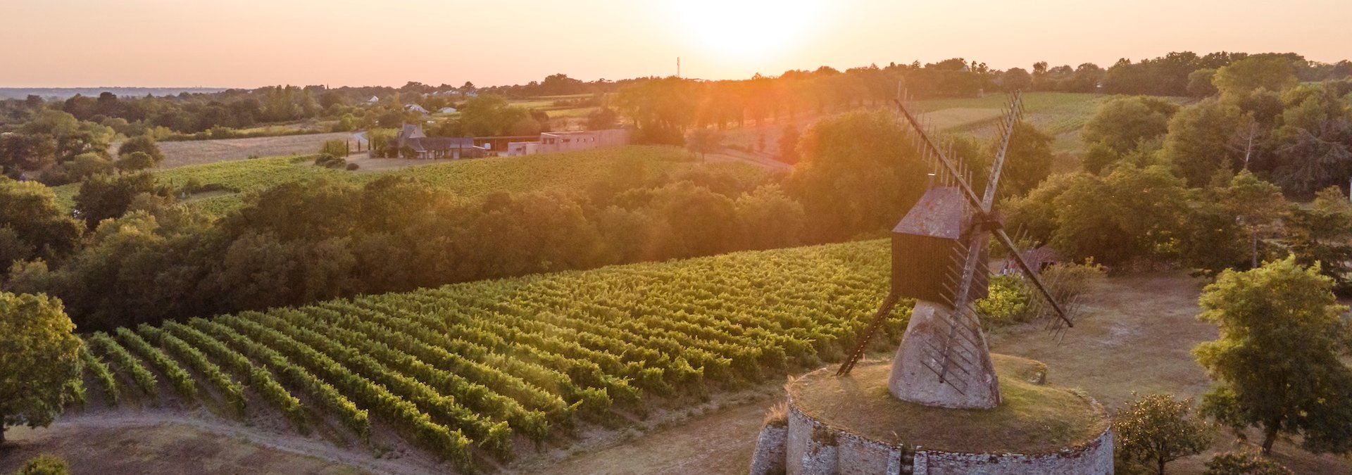 Domaine Laureau - Rue des Vignerons