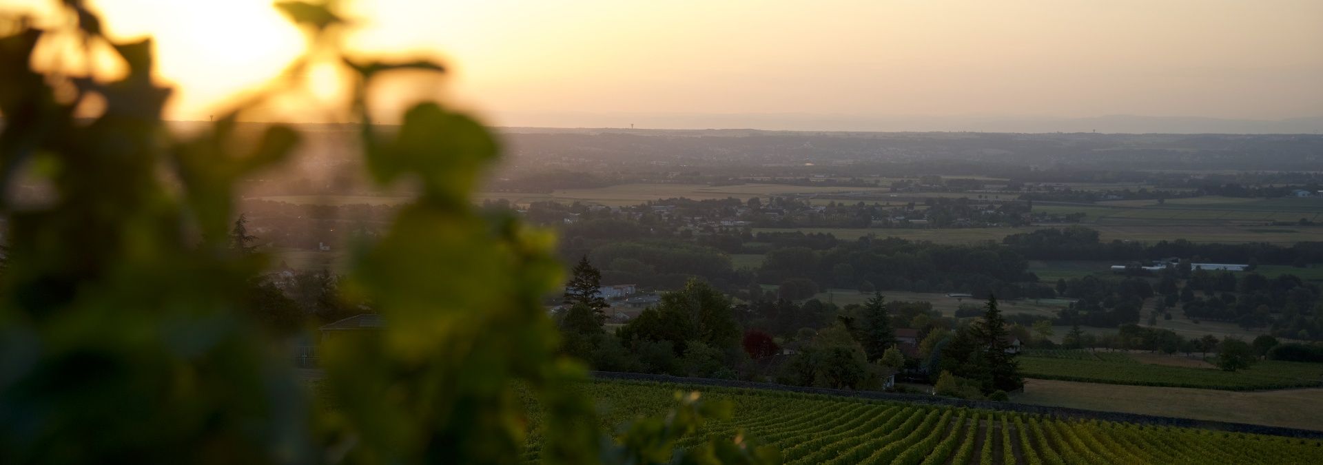 Château de Lachassagne - Rue des Vignerons