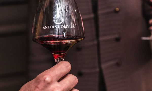 Tasting of 2 grape varieties of the Côte-photo