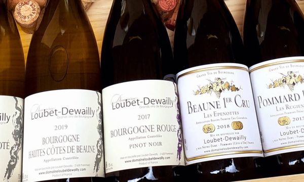 Discovery of the wines of the Côte de Beaune-photo
