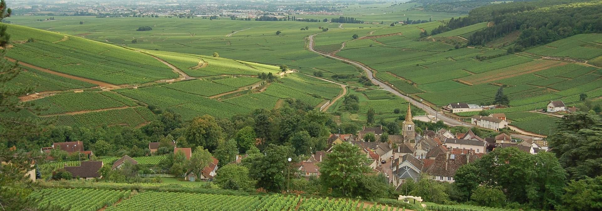 Domaine Jonathan Bonvalot - Rue des Vignerons