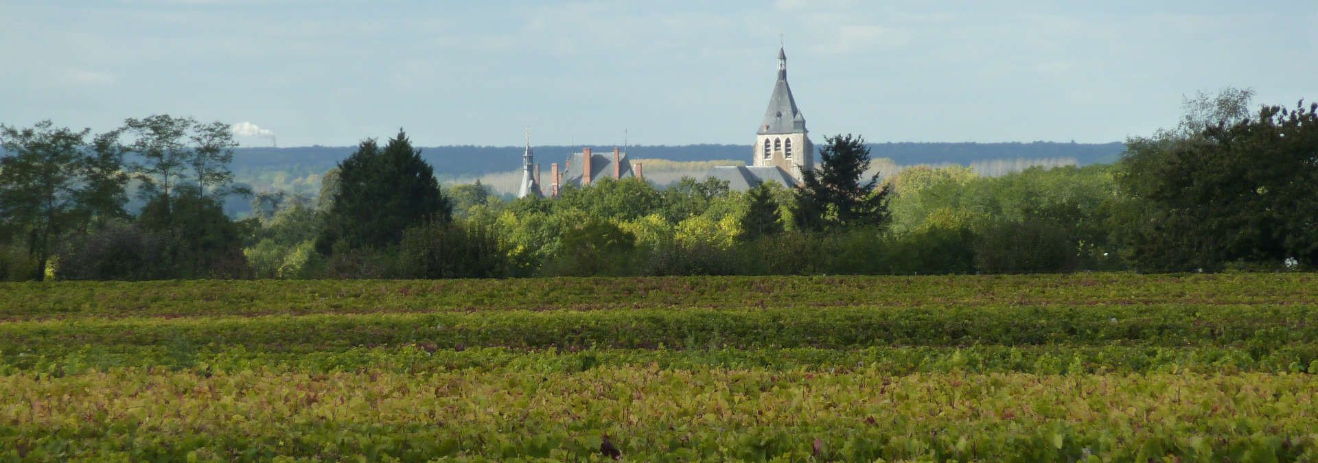 Domaine Poupat et Fils - Rue des Vignerons