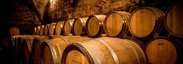 Entdeckung des Weingutes Joliet (Gruppe)-photo