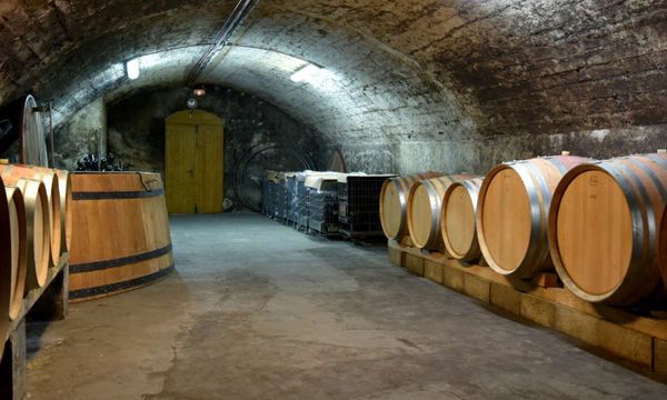 Through the cellar…-photo