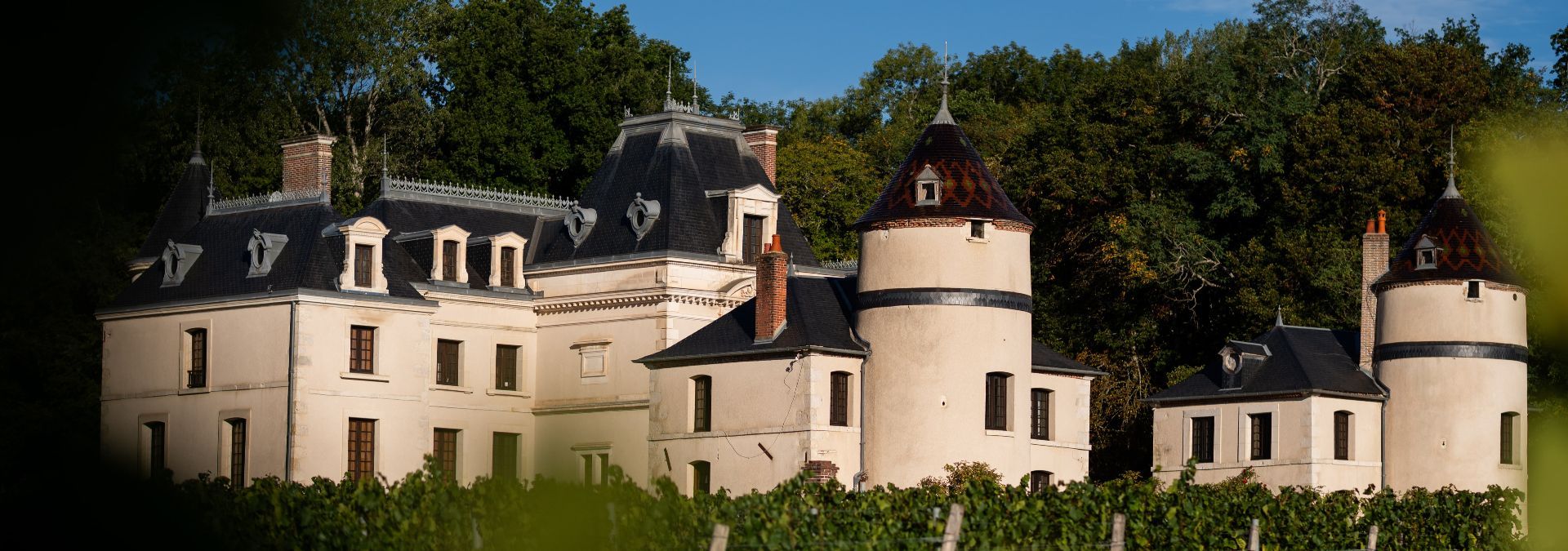 Château de la Grange Arthuis - Rue des Vignerons