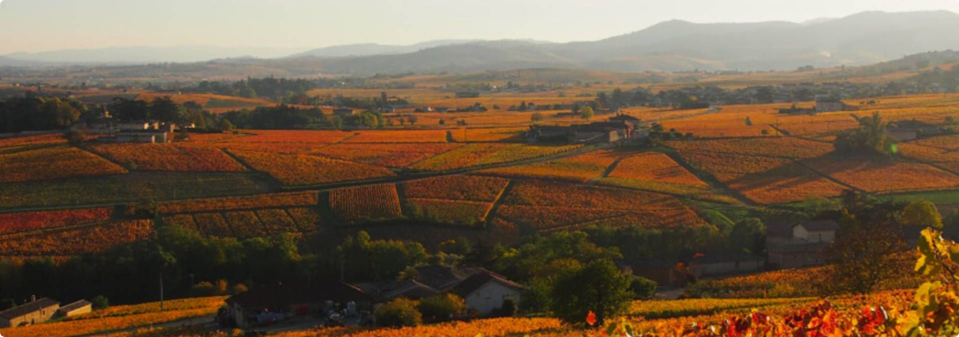 Château Thivin - Rue des Vignerons