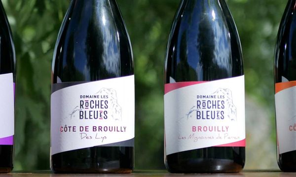 Discover the wines of Mont Brouilly!-photo