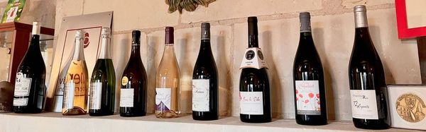 Cata de los vinos de la bodega-photo