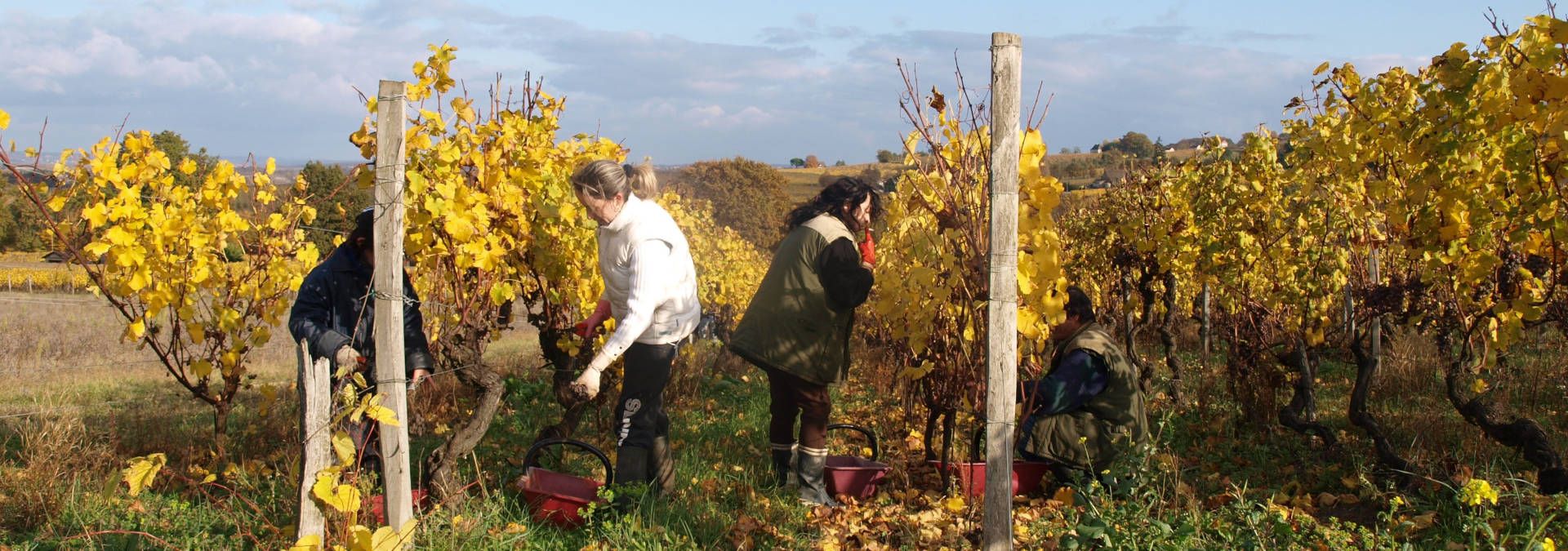 Château Tirecul La Gravière - Rue des Vignerons