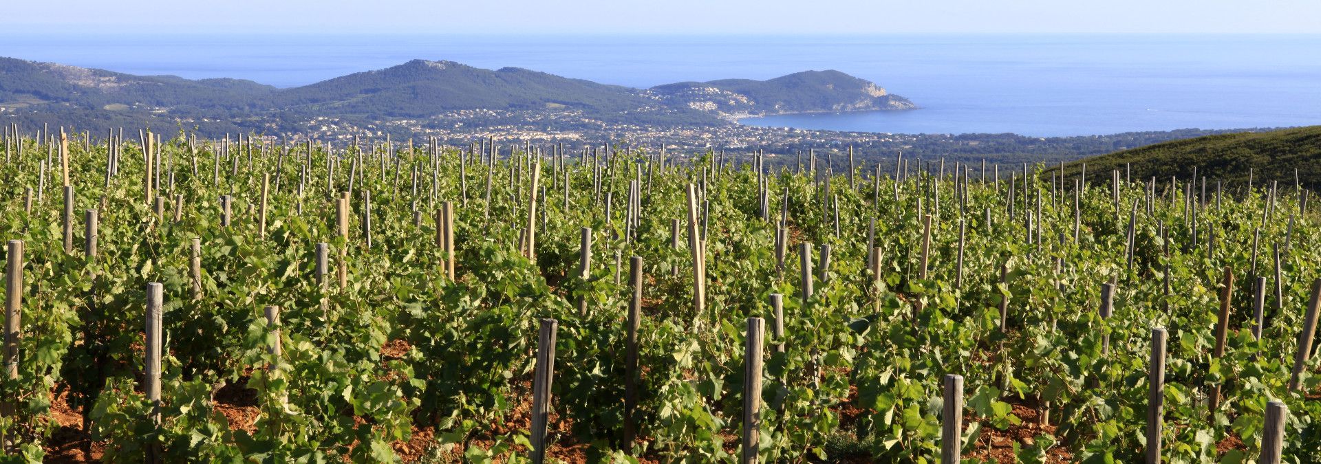 Domaine de la Bégude - Rue des Vignerons