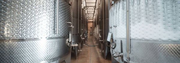 Cellar tour and tasting-photo