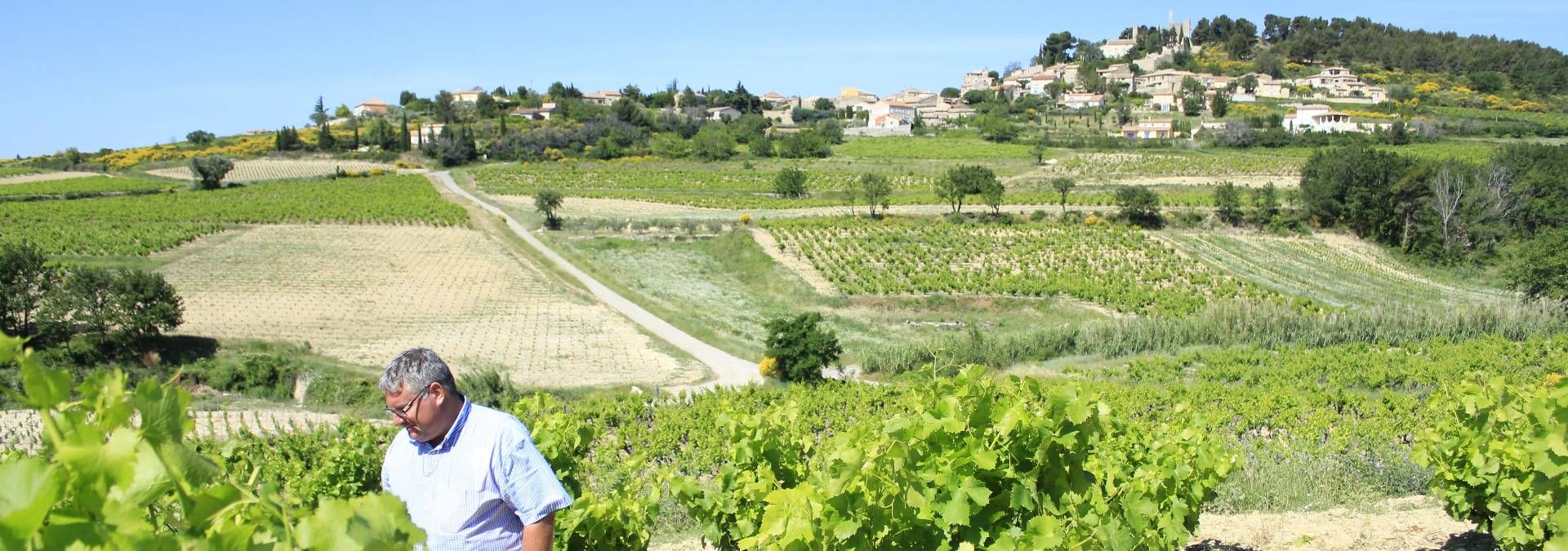 Domaine du Trapadis - Rue des Vignerons