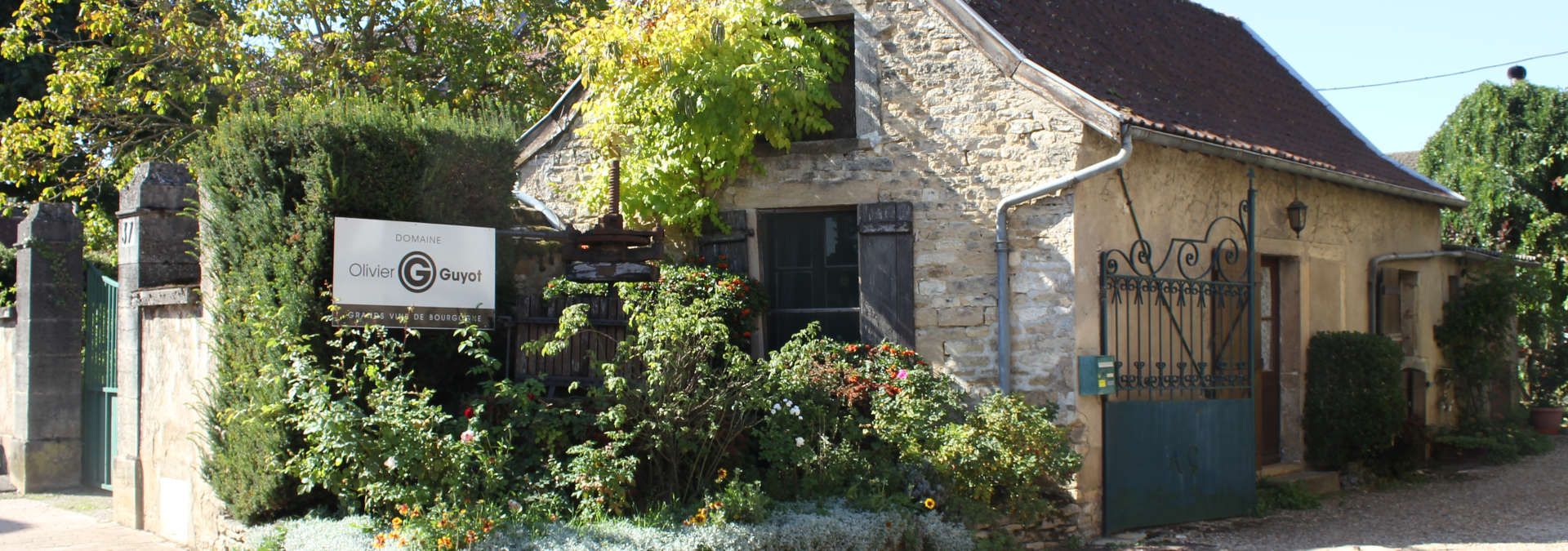 Domaine Olivier Guyot - Rue des Vignerons