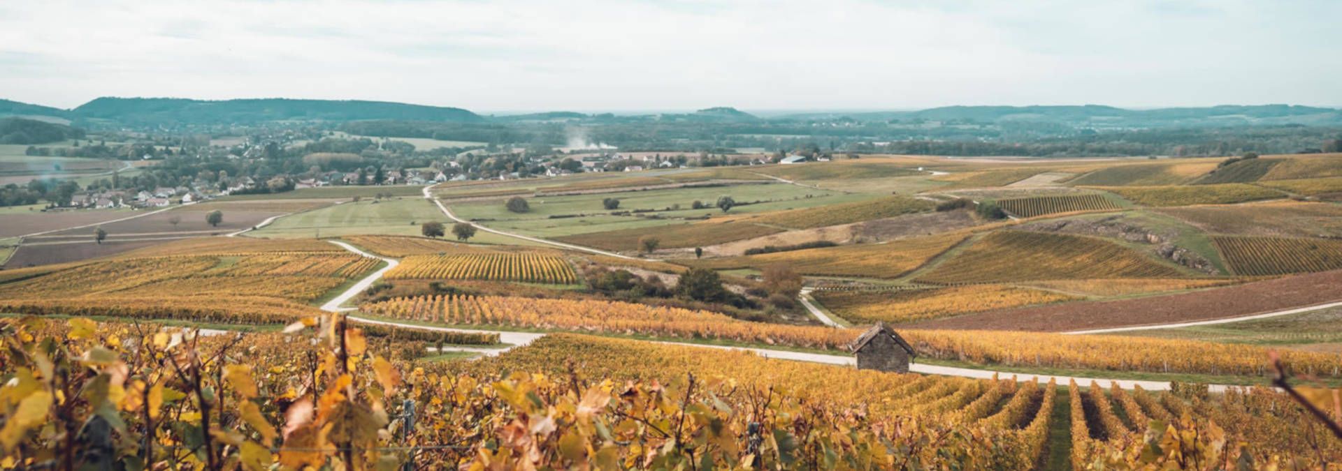 Domaine Baud - Rue des Vignerons