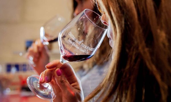 Tasting of 4 wines-photo