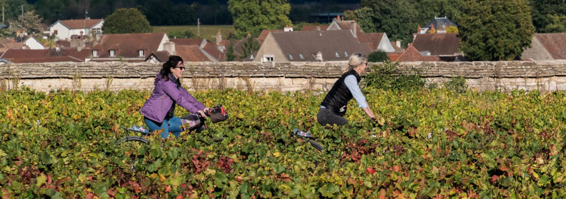 Active Tours - Rue des Vignerons