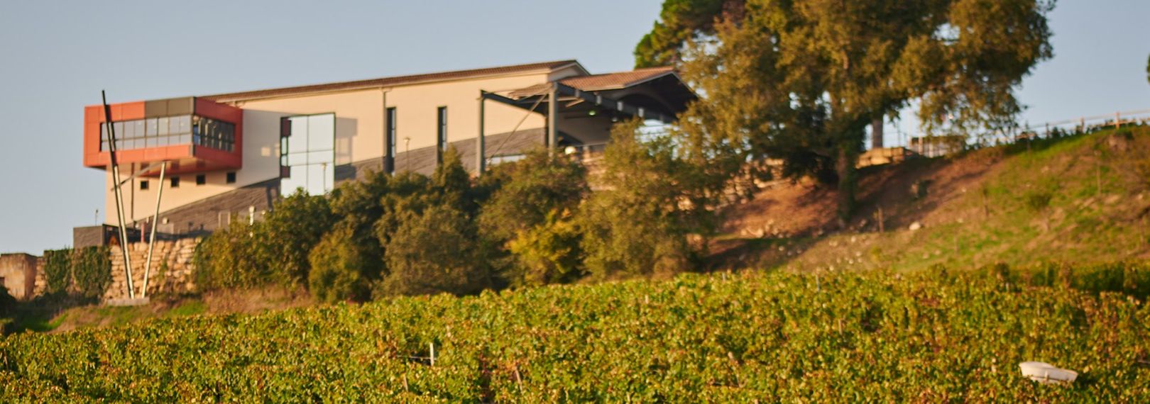 Château La Croizille - Rue des Vignerons