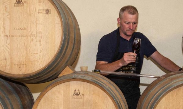 Discover Alsatian grape varieties and visit-photo