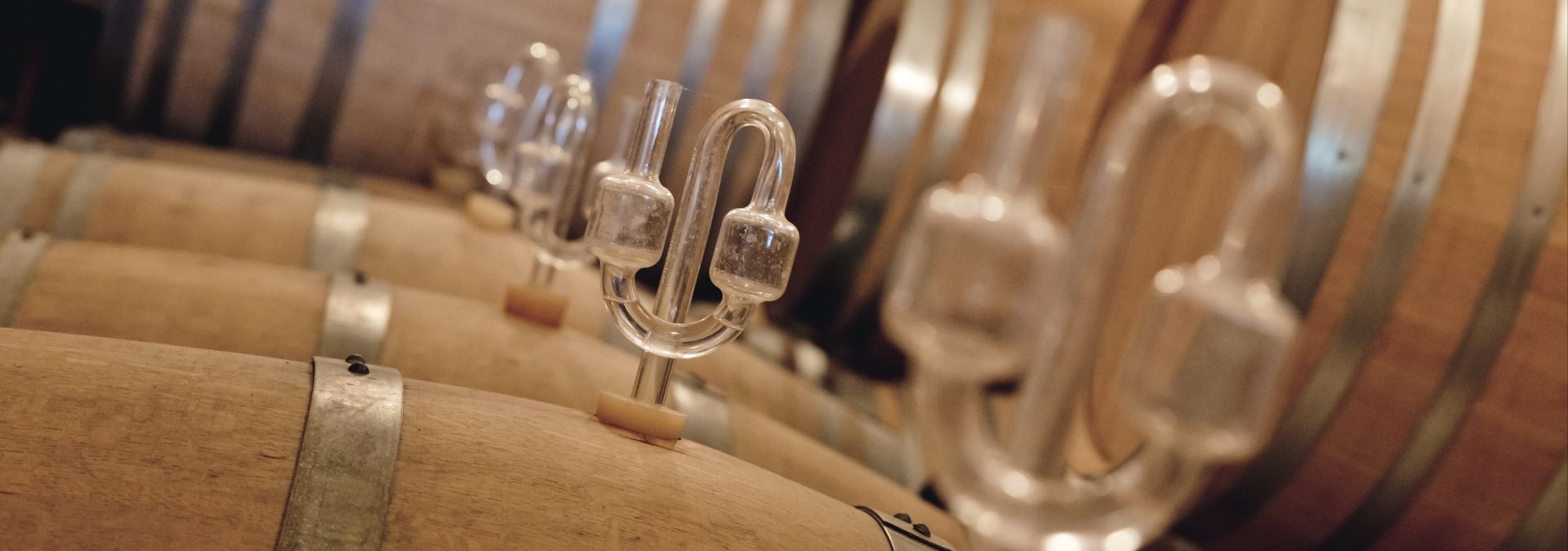 Domaine Laureau - Rue des Vignerons