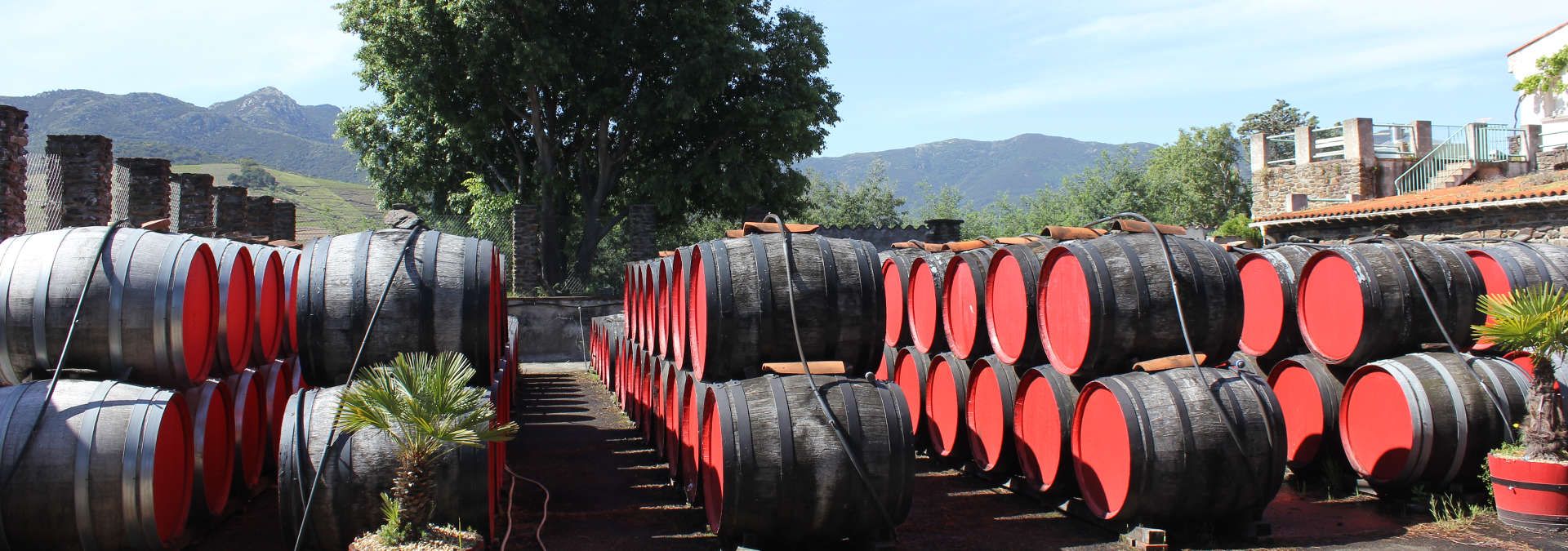 Terres des Templiers - Rue des Vignerons