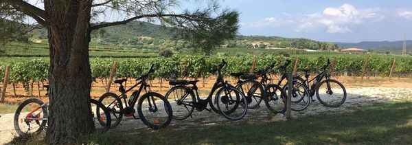 Electrically assisted mountain bike ride-photo