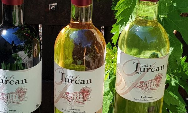 Discovering the cuvées of Château Turcan-photo