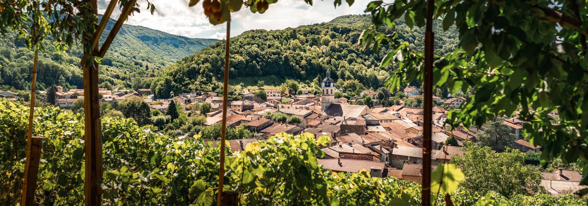 La Cave du Buizin - Rue des Vignerons