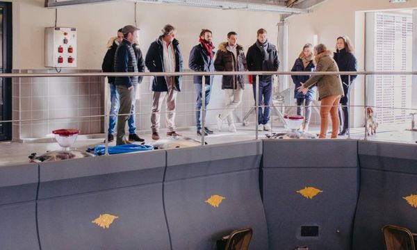 Offene Türen Saint-Emilion 2026-photo