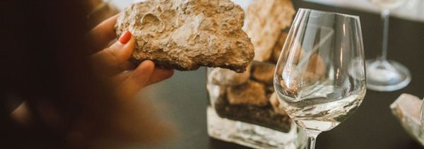 Laboratorio di degustazione geosensoriale-photo