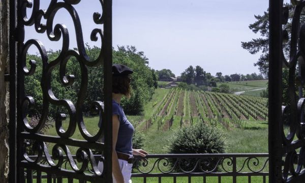 De la Vigne au Chai-photo