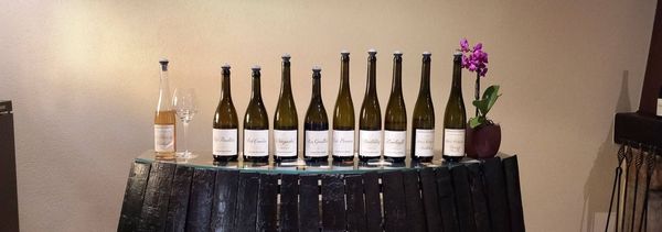 Les Grands Terroirs de la Vallée Noble - Groep-photo