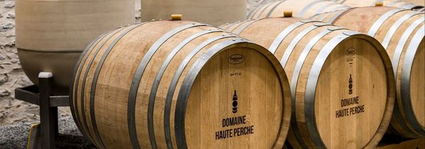 Visita guidata della cantina di Haute Perche-photo