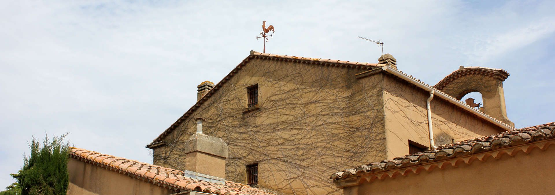 Chateau Beauregard Mirouze - Rue des Vignerons
