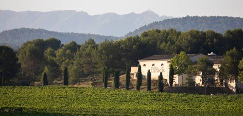 Château Paradis photo