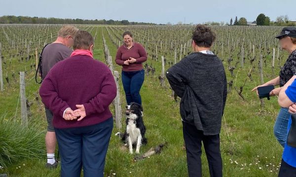 Sur les pas du vigneron-photo