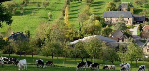 Domaine de la Galotière photo