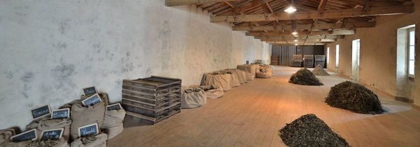 Le Savoir-Faire de Climens-photo