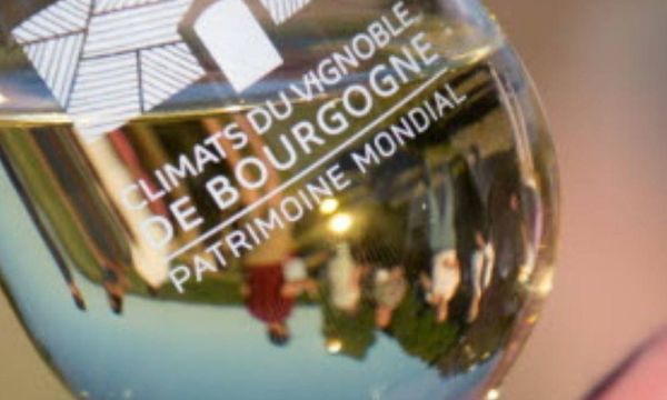 Dégustation commentée de 8 vins-photo