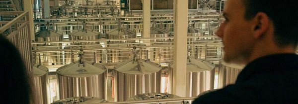 Il momento della scoperta-photo