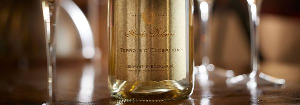 Descubrimiento efervescente-photo