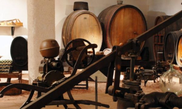 Visite de cave et musée de la vigne et du vin-photo