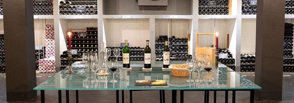 Visita y cata vertical en el Bunker-photo