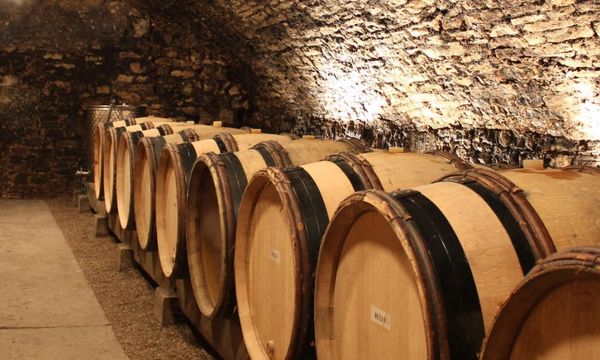 Cellars visit of 